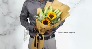 Sunflower Twin Theory