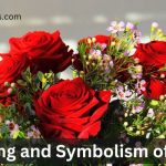The Meaning and Symbolism of Roses