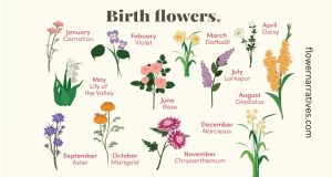 birth flower