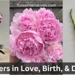 birth love death flower