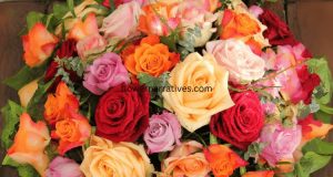 meaning and symbolism of rose