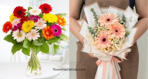 Gerbera Bouquet