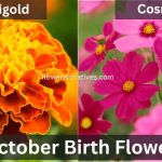 October Birth Flowers Marigold and Cosmos