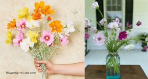 bouquet