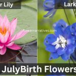 july birth flower