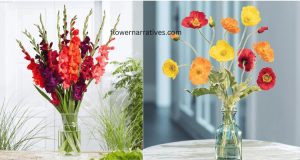 gladiolus and poppy flower