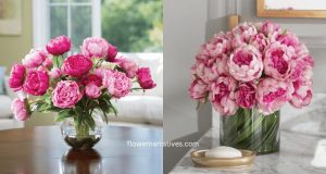 peony flower pots