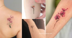 Aquarius Zodiac Flower Tattoo