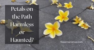 Fallen Flower