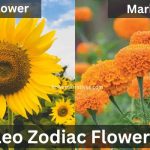 Leo Zodiac Flowers Sunflower and Marigold