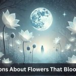 Night Flowers Superstitions