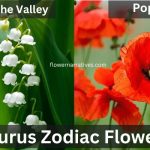 Taurus Zodiac Flowers