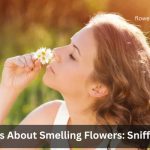 scent of a flower