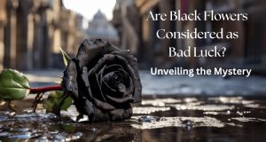 what does a black flower mean