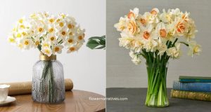 Daffodil Bouquets