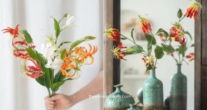 Fire lily flower symbolism