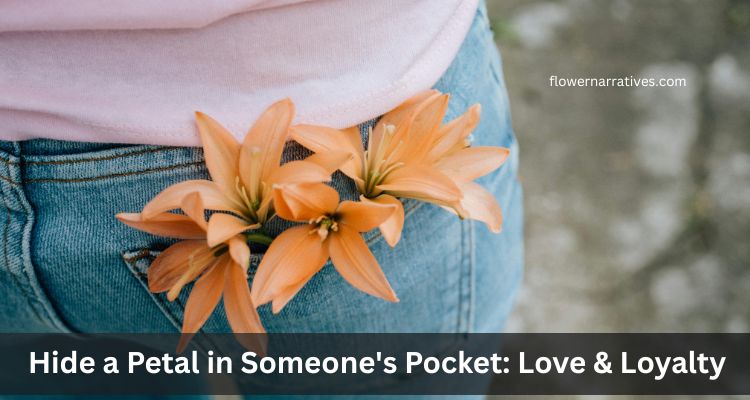 Flower Superstitions of hiding petals in someone's pocket