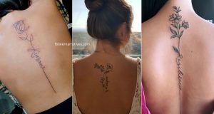 Spine Tattoos Designs