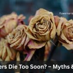 Why Flowers Die Too Soon