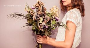 Why Flowers Die Too Soon Reasons Stated