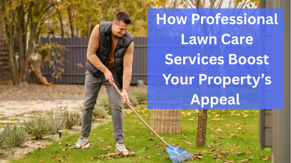 Professional Lawn Care Services