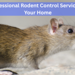 Protect Your Home