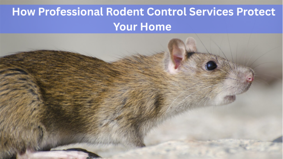 Protect Your Home