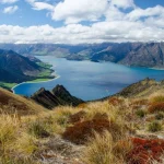 New Zealand’s Native Flora