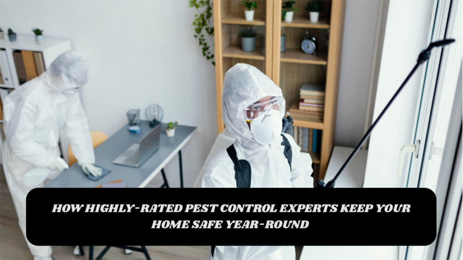 Highly-Rated Pest Control Experts