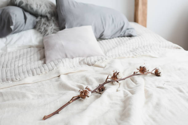 Eco-Friendly Bedding Organic Cotton Mattresses Are Worth the Investment