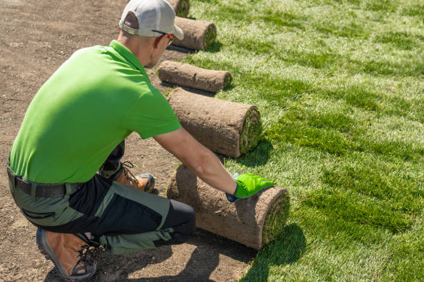 Turf Contractors