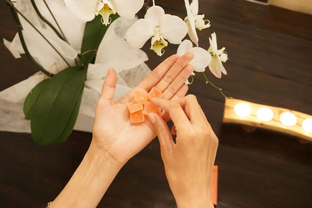 person holding white petaled flower