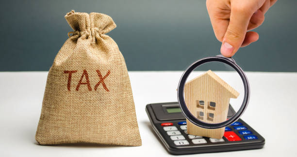 Surveyor For Investment Property