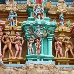 Exploring the Appeal of a Sex Torso for Realistic Solo Experiences